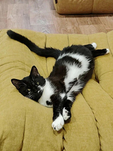 Изготовление бескаркасной мебели на заказ. Фото результата и отзыв клиента с оценкой 5/5.